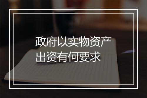 政府以实物资产出资有何要求