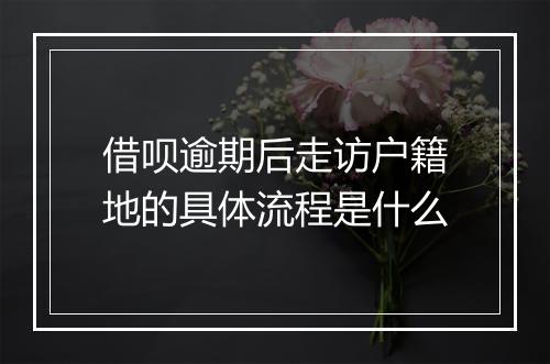 借呗逾期后走访户籍地的具体流程是什么