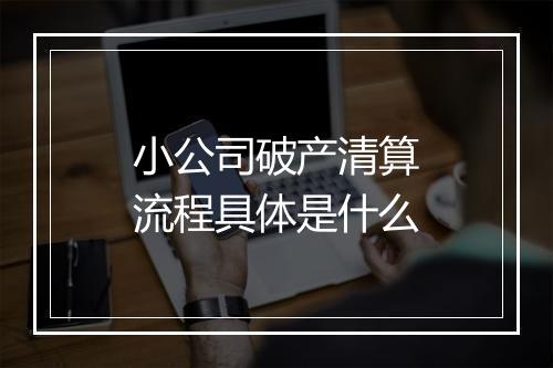 小公司破产清算流程具体是什么
