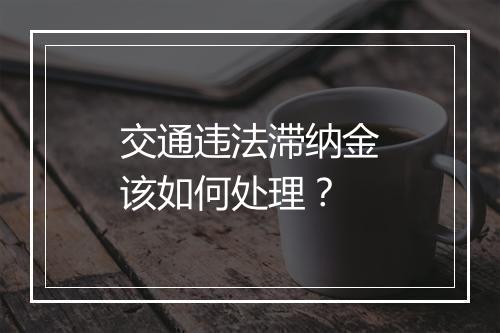 交通违法滞纳金该如何处理？