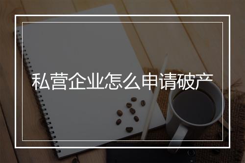私营企业怎么申请破产