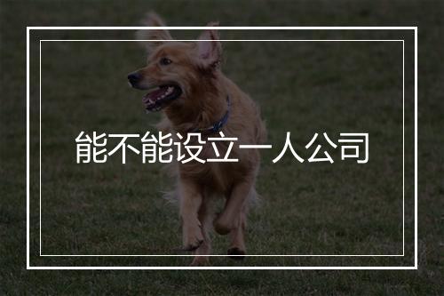 能不能设立一人公司