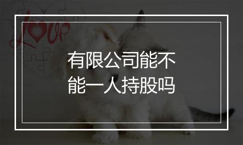 有限公司能不能一人持股吗