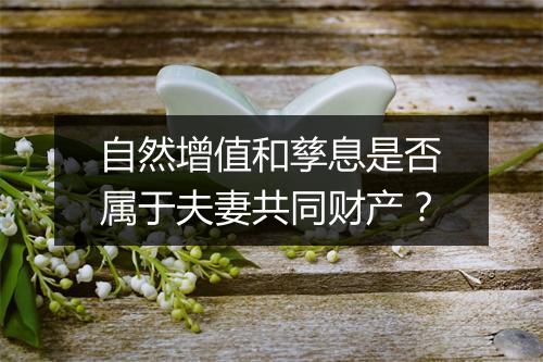自然增值和孳息是否属于夫妻共同财产？