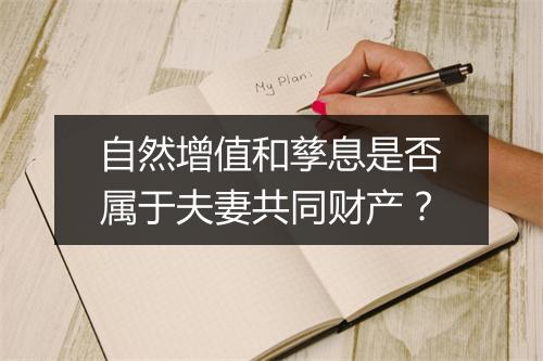 自然增值和孳息是否属于夫妻共同财产？