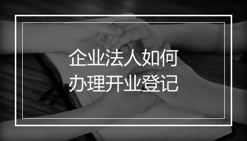 企业法人如何办理开业登记