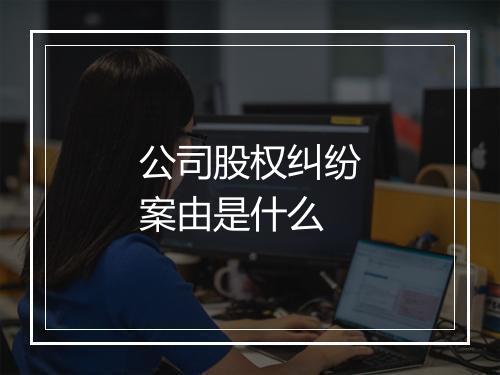 公司股权纠纷案由是什么