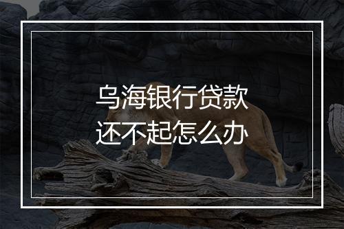 乌海银行贷款还不起怎么办