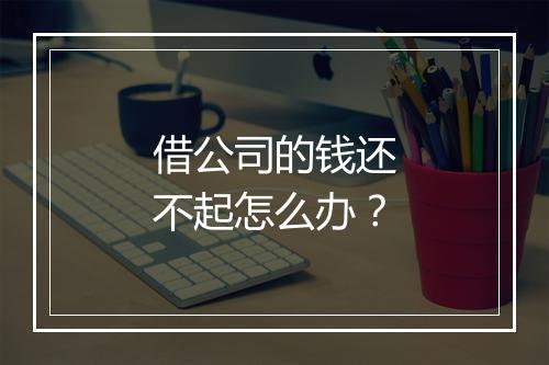 借公司的钱还不起怎么办？