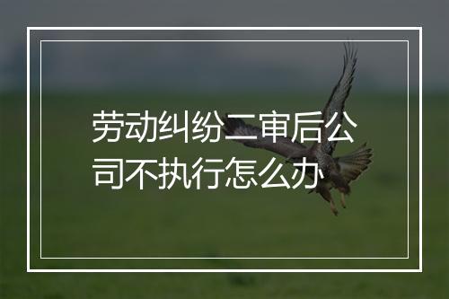 劳动纠纷二审后公司不执行怎么办