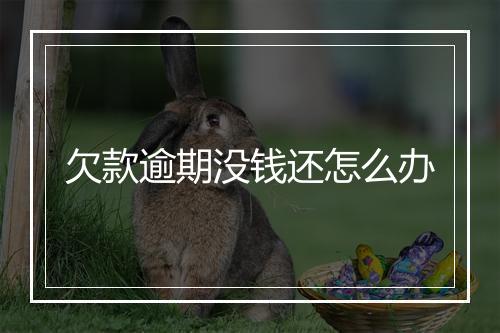 欠款逾期没钱还怎么办