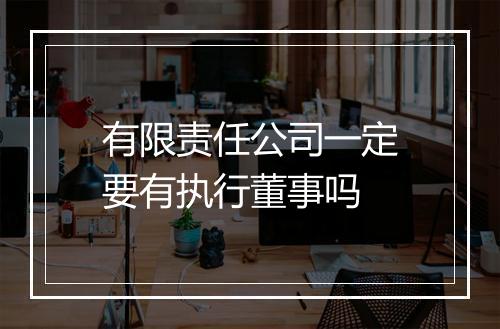 有限责任公司一定要有执行董事吗