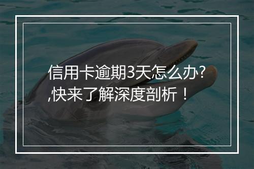信用卡逾期3天怎么办?,快来了解深度剖析！
