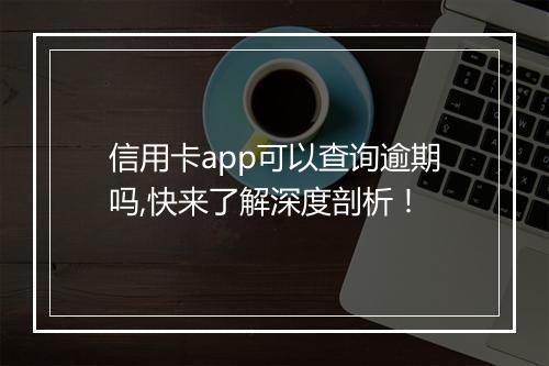 信用卡app可以查询逾期吗,快来了解深度剖析！