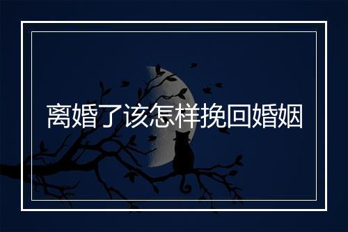 离婚了该怎样挽回婚姻