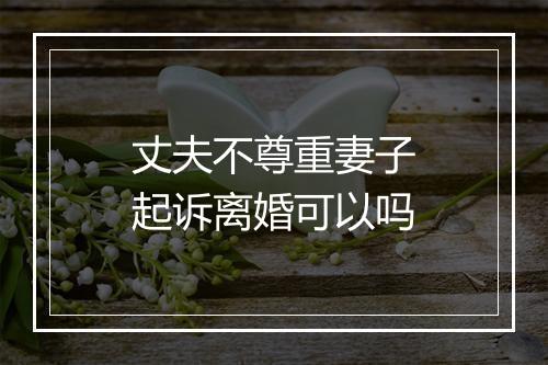 丈夫不尊重妻子起诉离婚可以吗