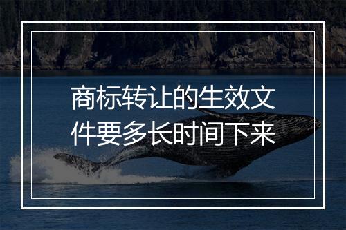 商标转让的生效文件要多长时间下来