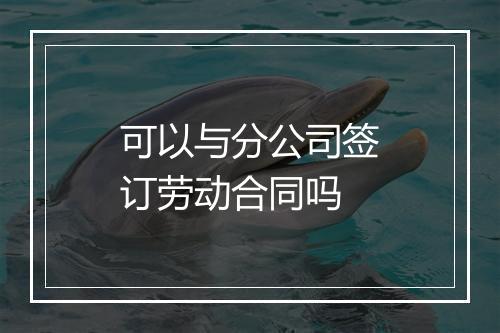 可以与分公司签订劳动合同吗
