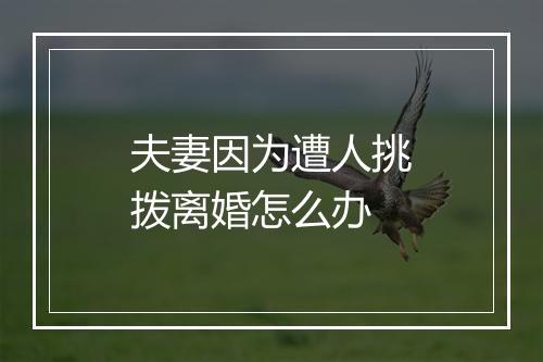 夫妻因为遭人挑拨离婚怎么办