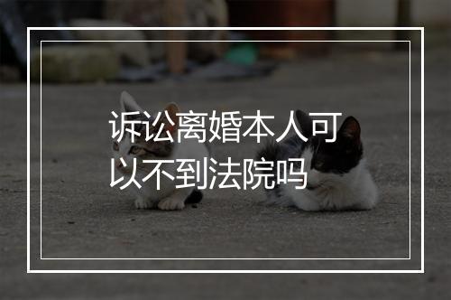 诉讼离婚本人可以不到法院吗