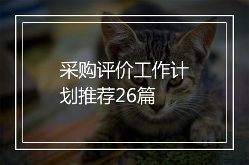 采购评价工作计划推荐26篇