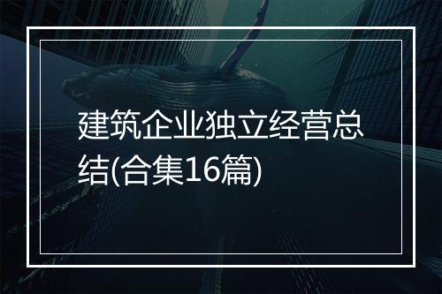 建筑企业独立经营总结(合集16篇)