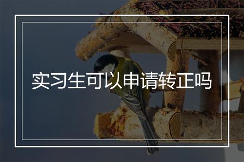 实习生可以申请转正吗