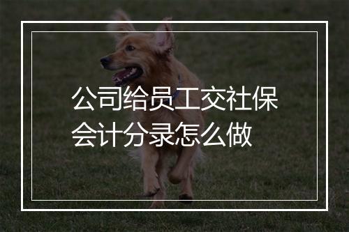 公司给员工交社保会计分录怎么做