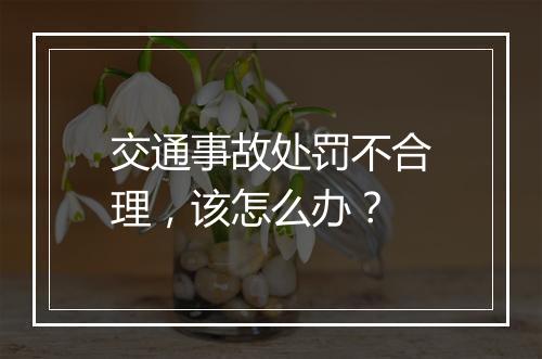 交通事故处罚不合理，该怎么办？