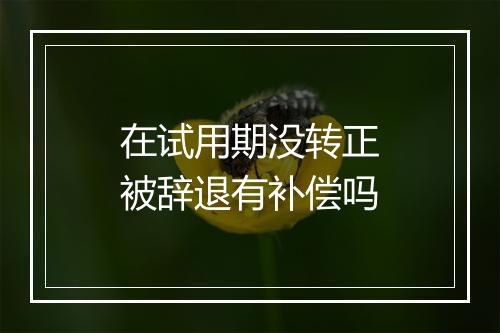 在试用期没转正被辞退有补偿吗