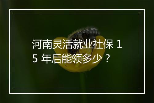 河南灵活就业社保 15 年后能领多少？