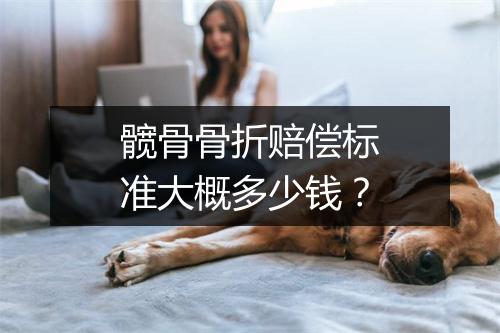 髋骨骨折赔偿标准大概多少钱？