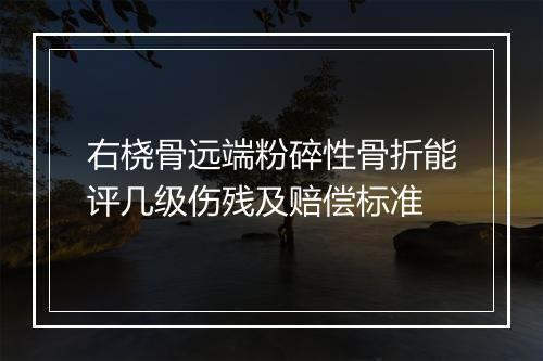 右桡骨远端粉碎性骨折能评几级伤残及赔偿标准