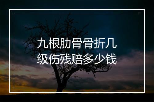 九根肋骨骨折几级伤残赔多少钱