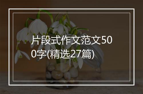 片段式作文范文500字(精选27篇)