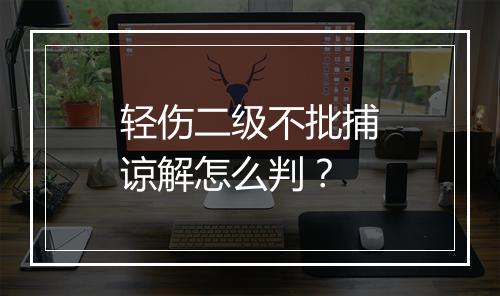 轻伤二级不批捕谅解怎么判？