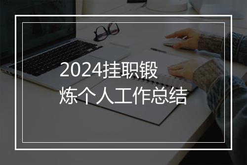 2024挂职锻炼个人工作总结