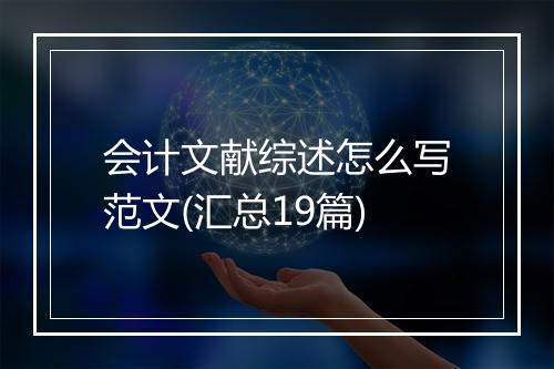 会计文献综述怎么写范文(汇总19篇)