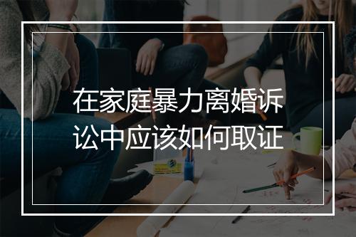 在家庭暴力离婚诉讼中应该如何取证