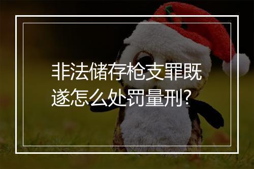 非法储存枪支罪既遂怎么处罚量刑?