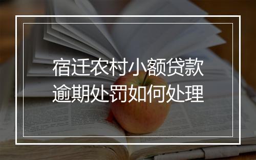 宿迁农村小额贷款逾期处罚如何处理