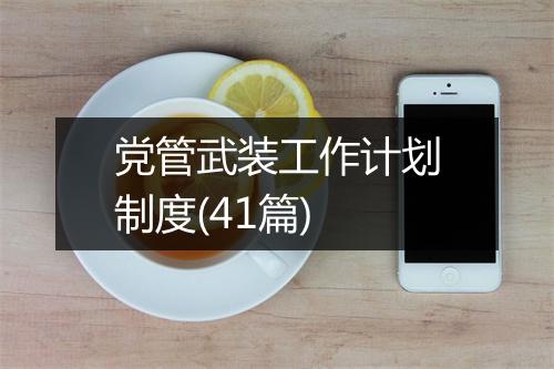 党管武装工作计划制度(41篇)