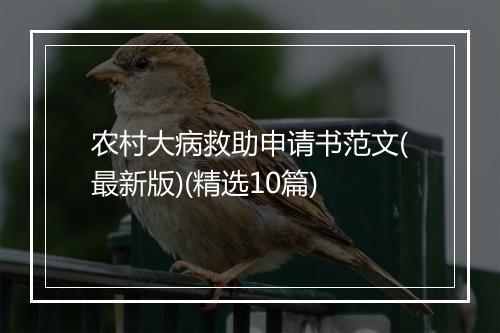 农村大病救助申请书范文(最新版)(精选10篇)