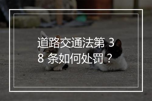 道路交通法第 38 条如何处罚？