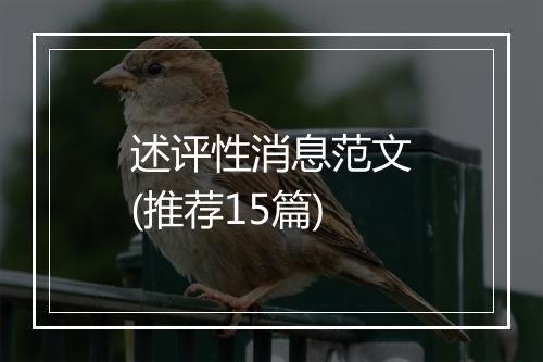 述评性消息范文(推荐15篇)
