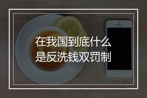 在我国到底什么是反洗钱双罚制