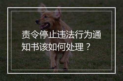 责令停止违法行为通知书该如何处理？