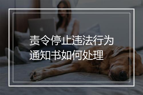 责令停止违法行为通知书如何处理
