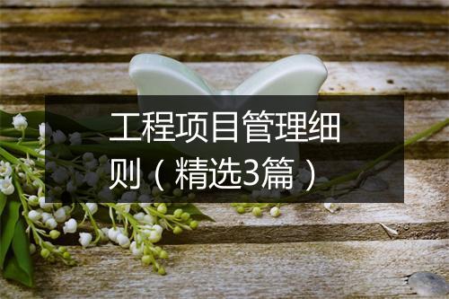 工程项目管理细则（精选3篇）
