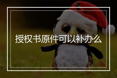 授权书原件可以补办么